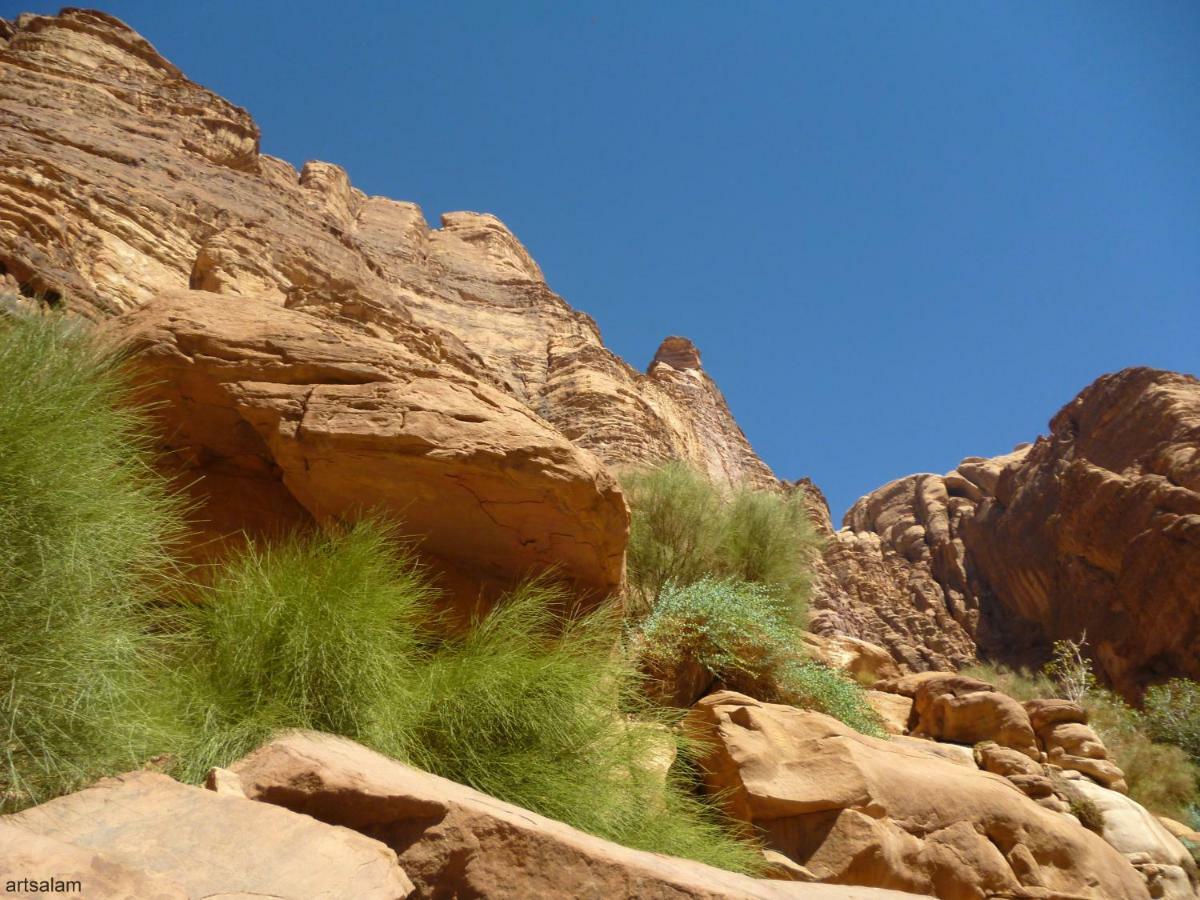 Hotel Sunrise Camp Wadi Rum Exterior foto