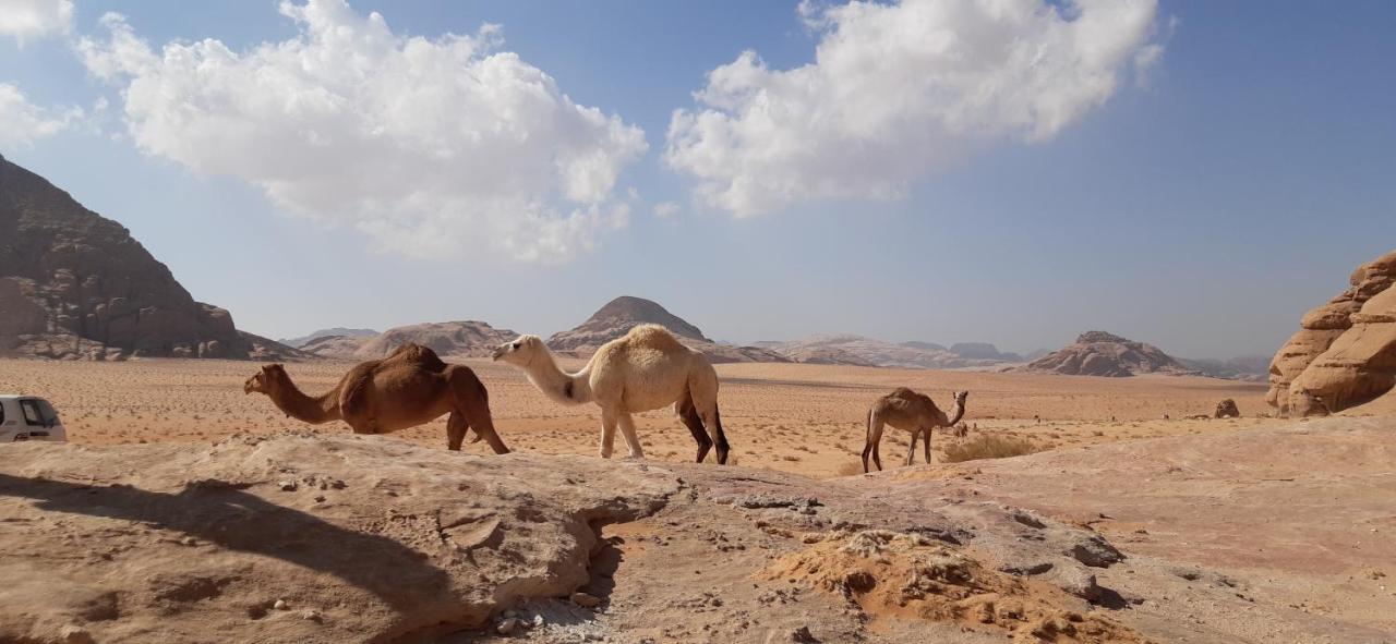Hotel Sunrise Camp Wadi Rum Exterior foto